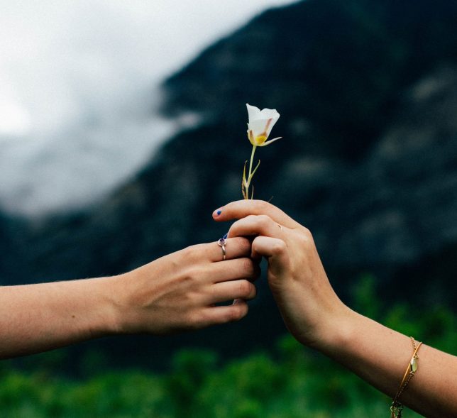 Hands exchanging a flower outdoors