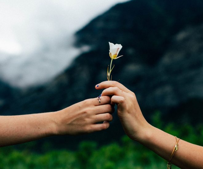 Hands exchanging a flower outdoors